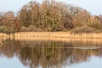 Unterer Bommer Weiher