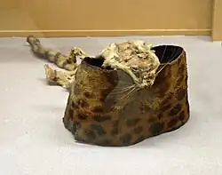 Haube aus Leopard- und Wildkatzenfell (Zentralafrika)