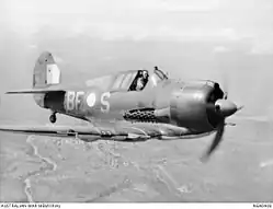 Commonwealth Boomerang