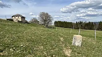 Weide auf dem Bergplateau