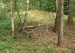 Rechteckige Grabungsstelle im Zentrum der Burg