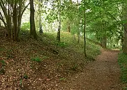 Seitenansicht mit dem vorbeiführenden Weg
