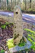 Menhir Le Haute-Borne