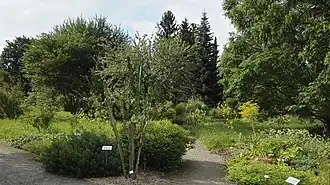 Freiland, geographische Abteilung