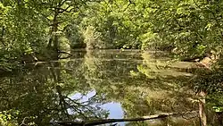 Teich im Wald von Bouconne