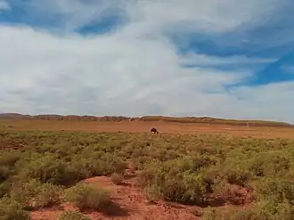 Landschaft bei Boudnib