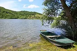 Трубаревац