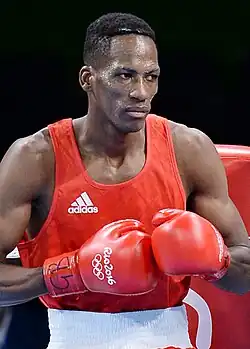 Collazo Sotomayor (2016)