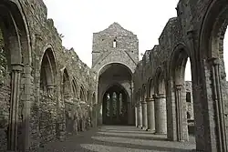 Kirchenschiffruine der Boyle Abbey