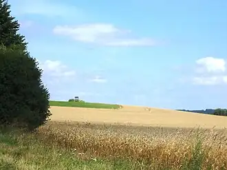 Blick auf den Mühlenberg