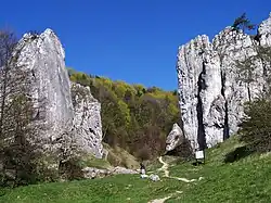 Landschaftspark Dolinki Krakowskie