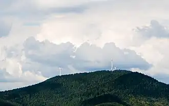 Blick auf den Brandenkopf aus südlicher Richtung