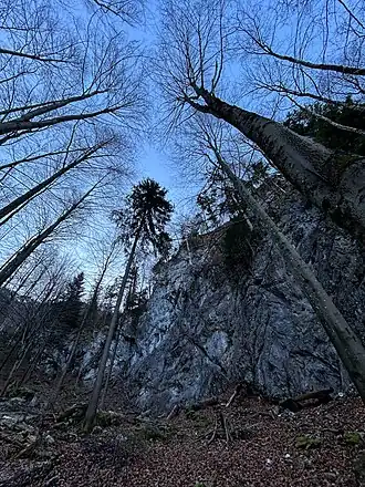 Brandenstein, Nordwand