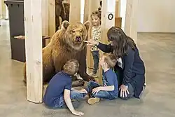 Braunbär Naturmuseum St. Gallen