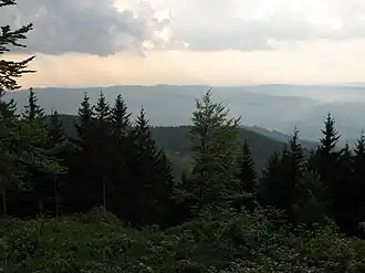 Blick vom Braunhörnle über das 800 Meter tiefer liegende Elztal hinweg auf die niedrigeren Schwarzwaldberge südlich des unteren Kinzigtals