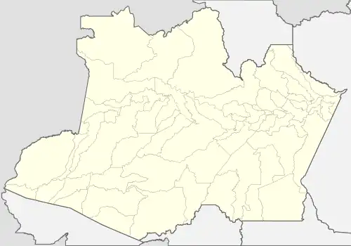 Ponte Rio Negro (Amazonas)