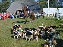 Traditionelle Schleppjagd beim RuF Wahrenholz & Umgebung