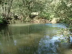 Mündung der Breitenbrunner Laber (rechts) in die Weiße Laber (von hinten nach vorne)