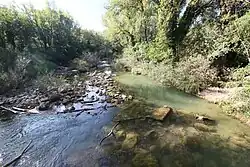 Der Merse bei Brenna