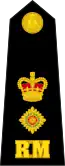 Lieutenant Colonel
