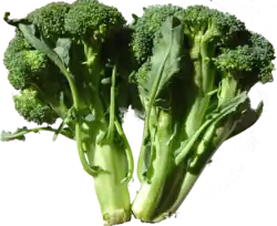 Broccoli (Brokkoli) (auch als Sprouting Broccoli, Spargelkohl)