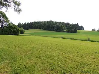 Brockenberg von Liebenau, Blickrichtung Südwesten