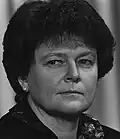 Gro Harlem Brundtland, Det norske Arbeiderparti