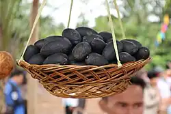 Dacryodes rostrata (Kumbayau, Kembayau)