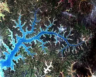 Satellitenfoto des Rio Grande de Buba mit der Stadt Buba (rechts, mittig).