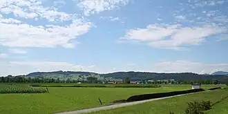 Der Buchberg von Süden