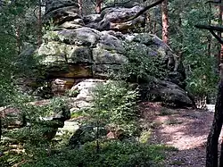 Felsen am Buchstein (Geotop 462R001)