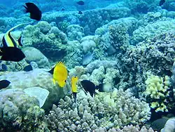 Nationalpark Bunaken