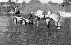 Pferdegespann aus zwei If. 8 in der Sowjetunion 1942