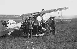 Albatros D.V mit angeschossenem Staffelführer