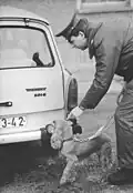 Cockerspaniel als Rauschgift-Spürhund der DDR-Behörden nach der Öffnung der Berliner Mauer am Grenzübergang Heinrich-Heine-Straße (28. November 1989)