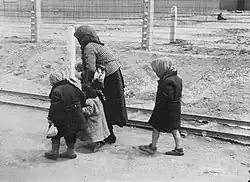 Eine alte jüdische Frau mit Kindern (Foto: Auschwitz-Album Mai 1944)