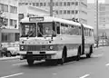 Gelenkbus Ikarus 180 im Jahr 1970 in Ost-Berlin