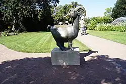 Afrikanische Zwergziege