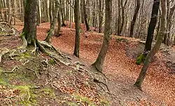 Blick von der Hauptburg nach Südosten