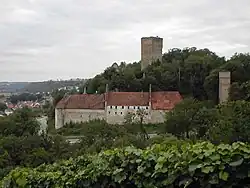 Burg Ehrenberg am Neckar