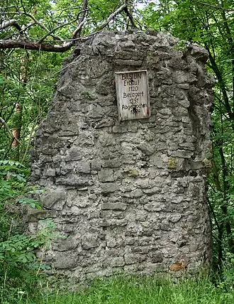 Burg Bilstein (Eschwege), Stammsitz der Grafen Wigger von Bilstein