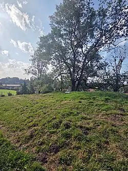Gedenkstein an der Burgstelle Leubas