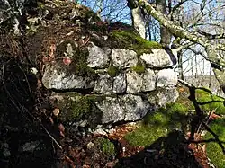 Bild 7: Mauerrest an der Ostecke des Wohnturms