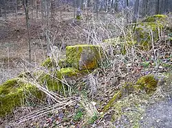 Die letzten Mauerreste aus regelmäßigen Sandsteinquadern auf dem Ostfelsen. Die wenigen verbliebenen Quader sind in besonderem Maße dem zunehmenden Vandalismus auf der Felsenburg ausgesetzt