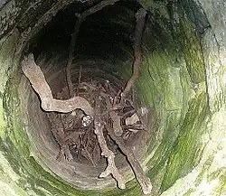 Blick in den Burgbrunnen. Der etwa 10&nbsp;Meter tiefe Schacht ist ungefähr bis zur Hälfte verschüttet. Zusätzlich zum Schichtenwasser wurde ehemals Regenwasser eingeleitet