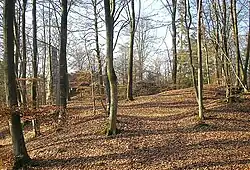 Gesamtansicht von Osten