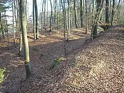 Das dreifache Wallsystem vor dem inneren Ringgraben