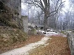 Der östliche Zwingerbereich mit der Burglinde und dem Wirtschaftshof