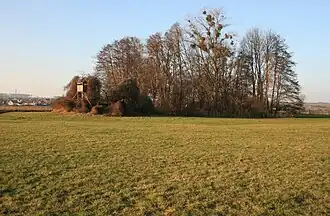 Burg Wachenbuchen, Rest einer Turmhügelburg