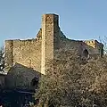 Burg Wallrabenstein von Osten (2023)